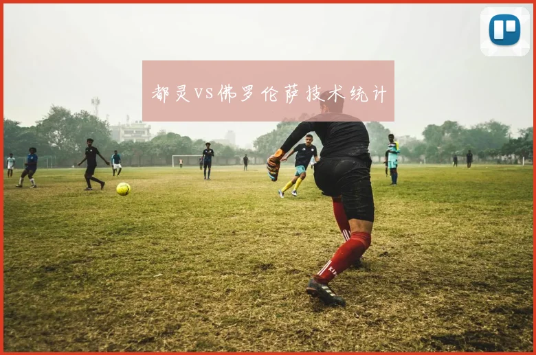 都灵vs佛罗伦萨技术统计