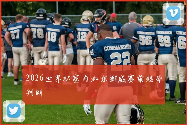 2026世界杯塞内加尔挪威赛前赔率判断