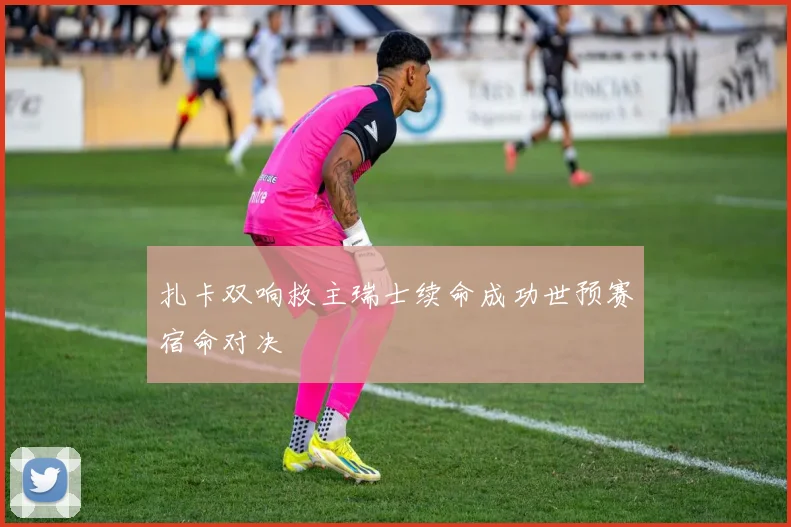扎卡双响救主瑞士续命成功世预赛宿命对决
