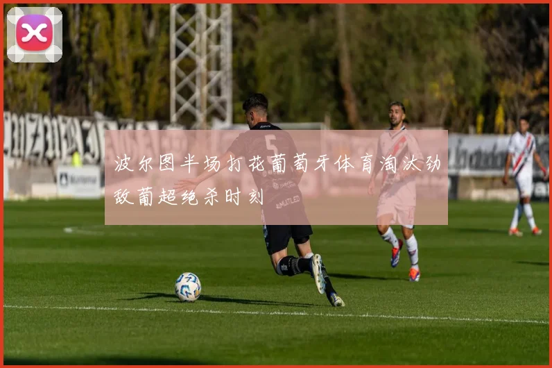 波尔图半场打花葡萄牙体育淘汰劲敌葡超绝杀时刻